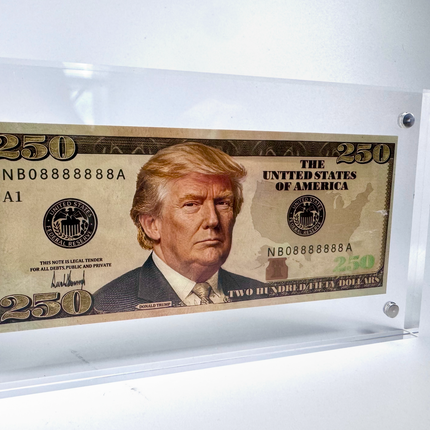 Custom Trump 250 Dollar Bill Collectible, Novelty Presidential Money Display, Acrylic Case Souvenir Gift, Political Memorabilia for Collectors